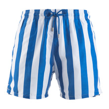 Load image into Gallery viewer, Adult Swim Shorts - Stripes | Blue &amp; White
