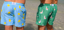 Load image into Gallery viewer, Adult Swim Shorts - Lamas | Green