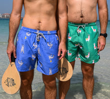 Load image into Gallery viewer, Adult Swim Shorts - Sloths | Lilac