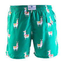 Load image into Gallery viewer, Adult Swim Shorts - Lamas | Green