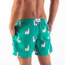 Load image into Gallery viewer, Adult Swim Shorts - Lamas | Green