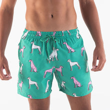 Load image into Gallery viewer, Adult Swim Shorts - Great Danes | Green
